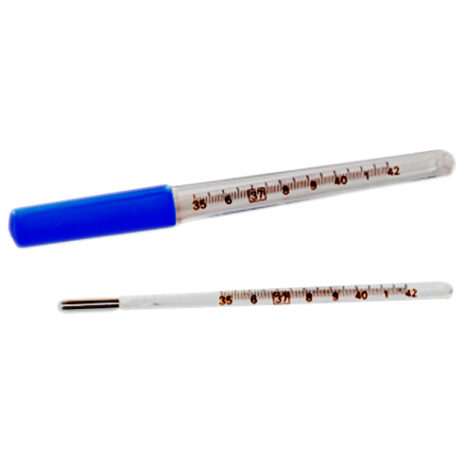 wlp-emergencias-medicas-termometro-de-mercurio-oral.jpg